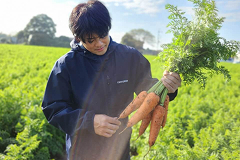 OFFICE DE YASAI(オフィスでやさい)