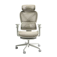 ワークチェア メッシュ COFO Chair Pro 2 ✓