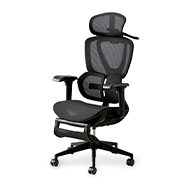 エルゴノミクスチェア SitForce Standard