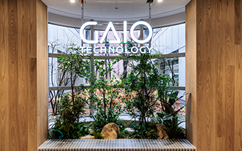 ガイオ・テクノロジー株式会社様 エントランススペース