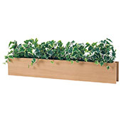 インテリアグリーン 卓上ポット