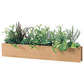 インテリアグリーン 卓上ポット