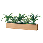 インテリアグリーン 卓上ポット