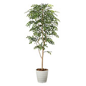 アートクリエイション