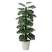 アートクリエイション