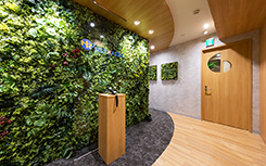 ネットレイズ 造作壁