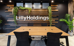 LillyHoldings 造作壁