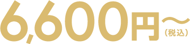 6600円(税込)~